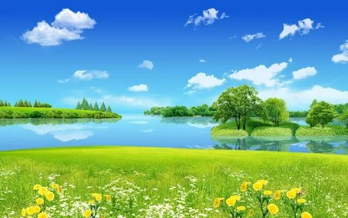 高精度电子